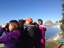 Fundraising Page Image